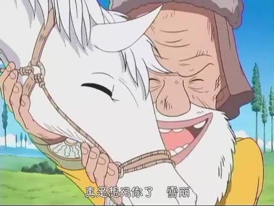 雪丽（漫画《航海王》及其衍生作品中的角色）