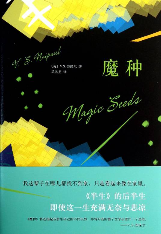 魔种（奈保尔小说）