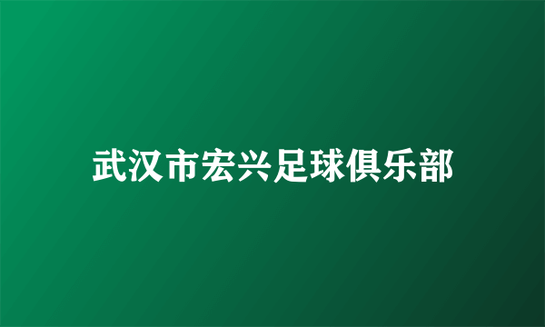 武汉市宏兴足球俱乐部