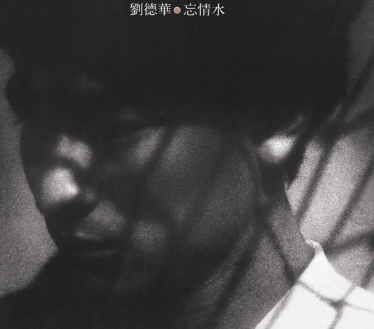 不该爱上你（刘德华演唱的歌曲）