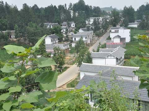 双山镇（贵州省毕节市大方县辖镇）