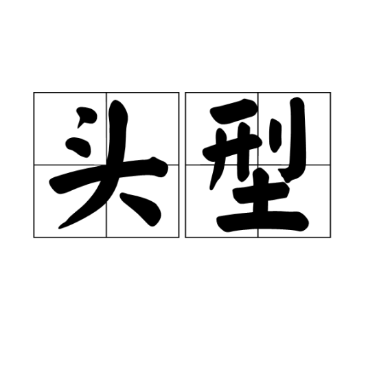 头型