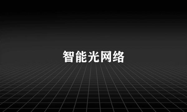 智能光网络