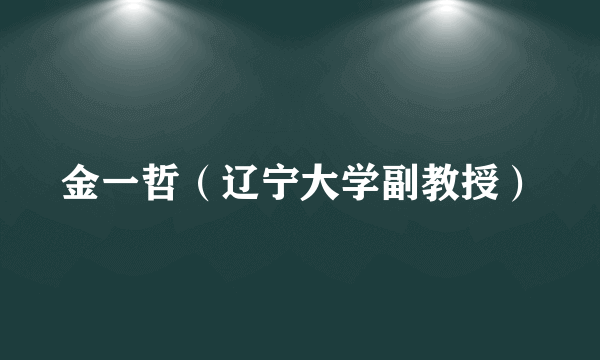 金一哲（辽宁大学副教授）