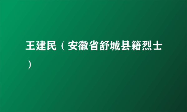 王建民（安徽省舒城县籍烈士）