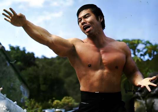 杨斯（中国香港男演员、邵氏公司武打明星、美国华人健美联合会主席）