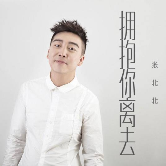 拥抱你离去（张北北演唱歌曲）