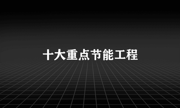 十大重点节能工程