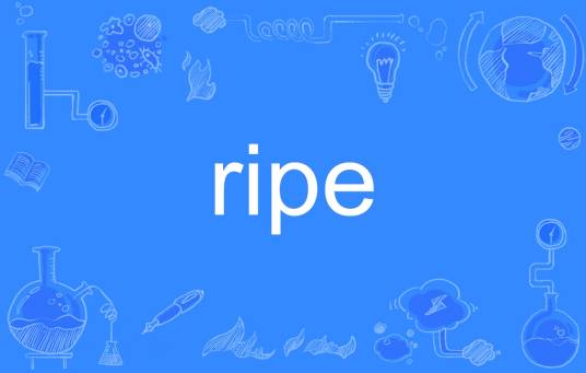 RIPE（英文单词）