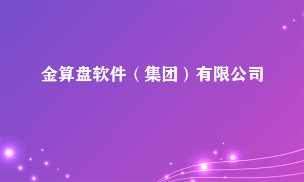 金算盘软件（集团）有限公司