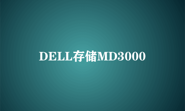 DELL存储MD3000
