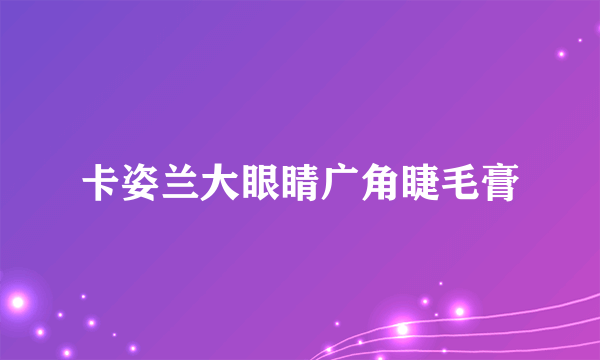 卡姿兰大眼睛广角睫毛膏
