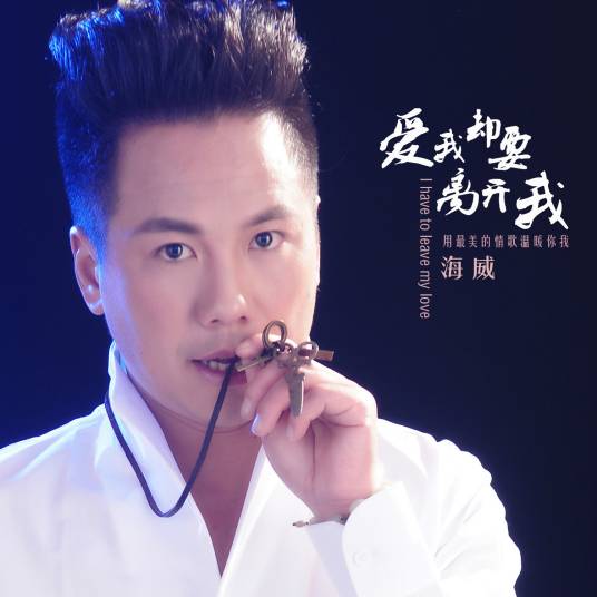 爱我却要离开我（海威演唱的歌曲）