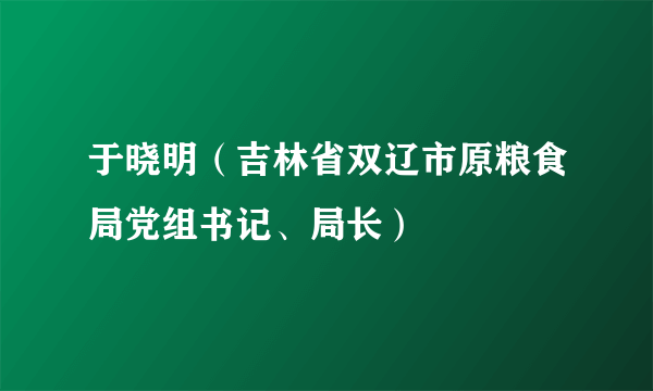 于晓明（吉林省双辽市原粮食局党组书记、局长）