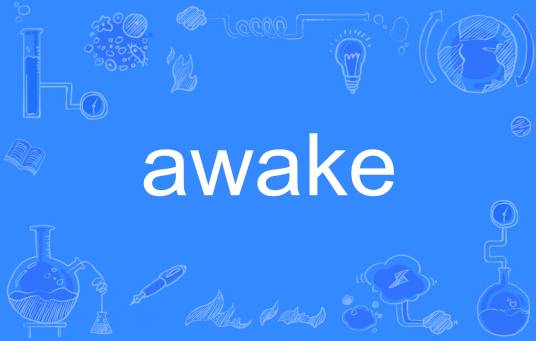 awake（英文单词）