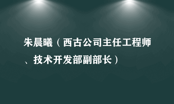 朱晨曦（西古公司主任工程师、技术开发部副部长）