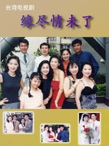 缘尽情未了（2006年台湾电视剧）