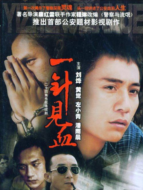 一针见血（2005年康洪雷执导的电视剧）