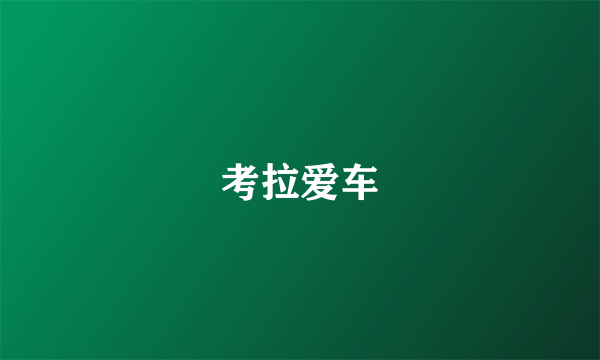 考拉爱车