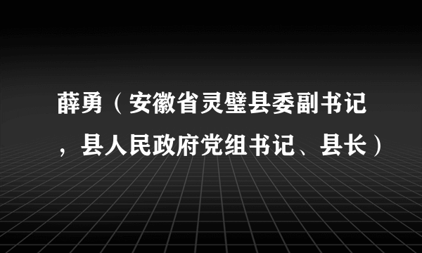薛勇（安徽省灵璧县委副书记，县人民政府党组书记、县长）