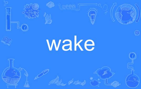 wake（英文单词）