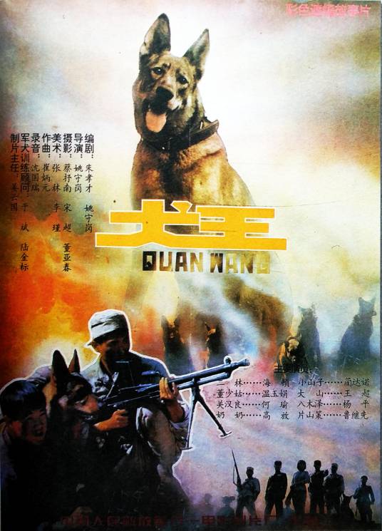 犬王（1993年姚守岗执导的战争电影）