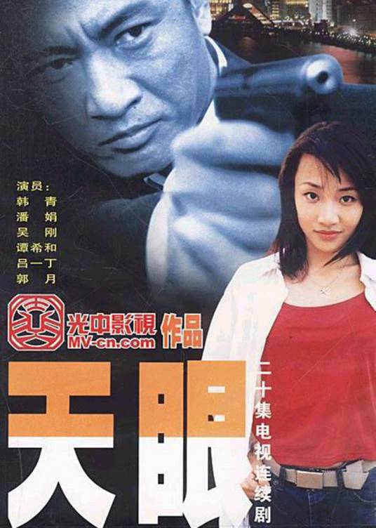 天眼（2003年韩青主演的电视剧）