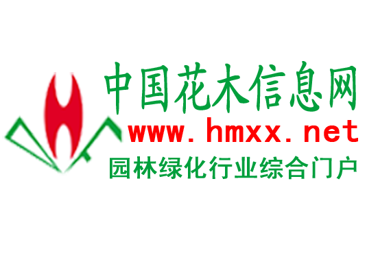 中国花木信息网
