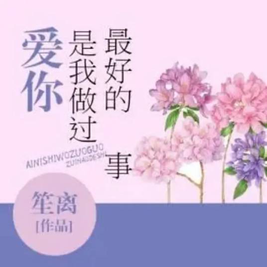 爱你，是我做过最好的事（笙离创作的小说）