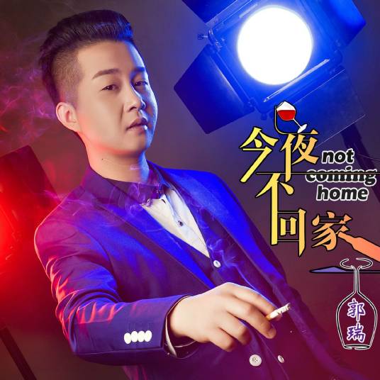 今夜不回家（郭瑞演唱的歌曲）