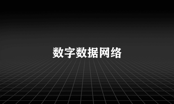 数字数据网络