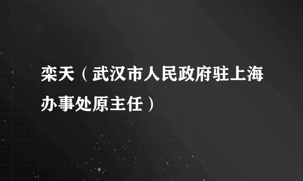 栾天（武汉市人民政府驻上海办事处原主任）