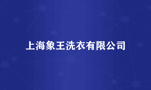 上海象王洗衣有限公司