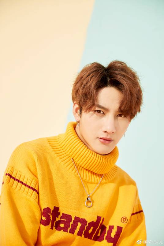 展羽（中国内地男歌手）