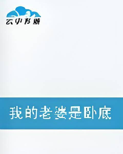 我的老婆是卧底——ting85