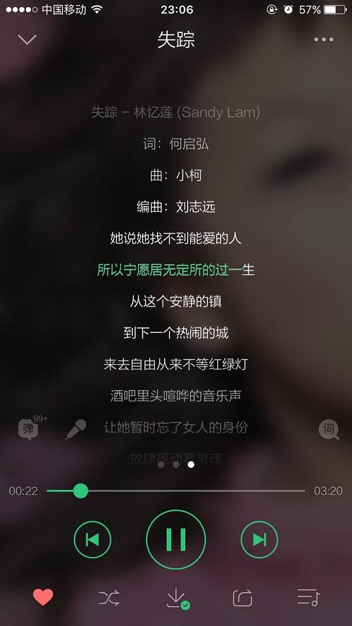 失踪（2000年林忆莲主唱歌曲）