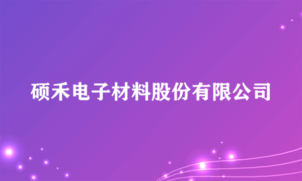 硕禾电子材料股份有限公司