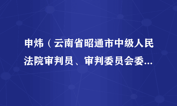 申炜（云南省昭通市中级人民法院审判员、审判委员会委员、副院长）