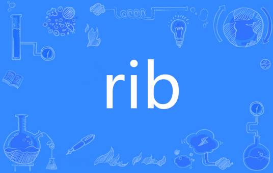 Rib（英语单词）