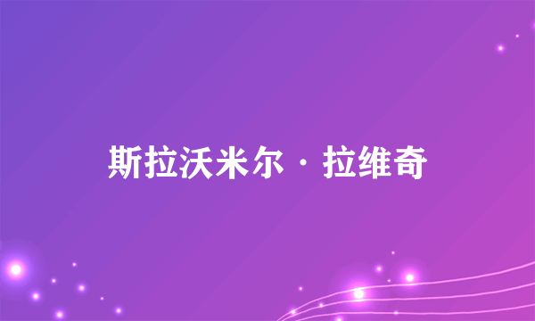 斯拉沃米尔·拉维奇