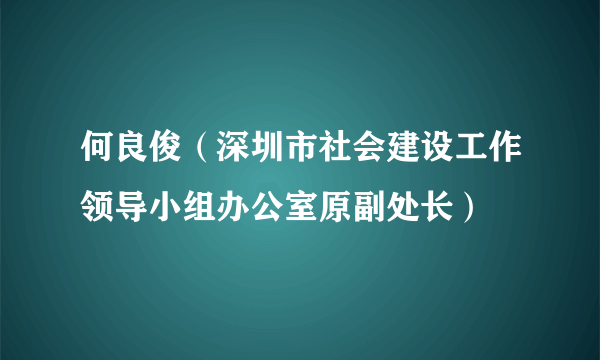 何良俊（深圳市社会建设工作领导小组办公室原副处长）