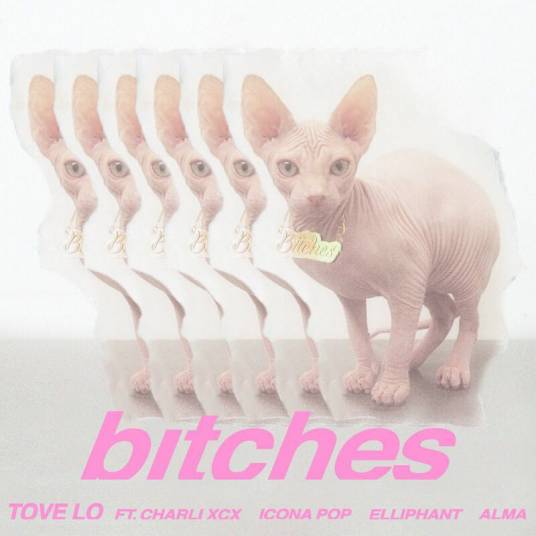 bitches