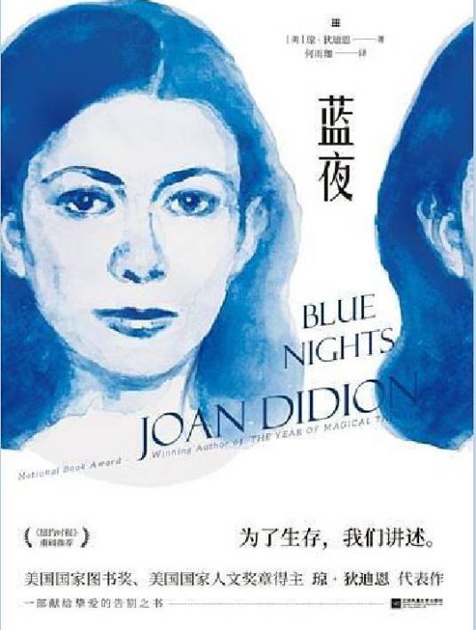 蓝夜（2019年江苏凤凰文艺出版社出版的图书）