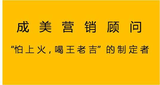 成美营销顾问有限公司