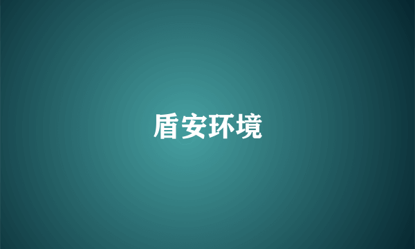 盾安环境