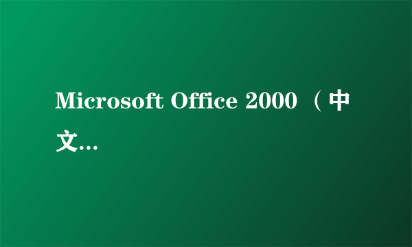 Microsoft Office 2000 （中文企业版）