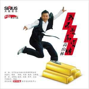 我不是高富帅（高山林演唱歌曲）