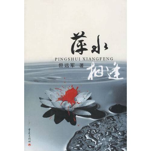 萍水相逢（2005年重庆出版社出版的图书）