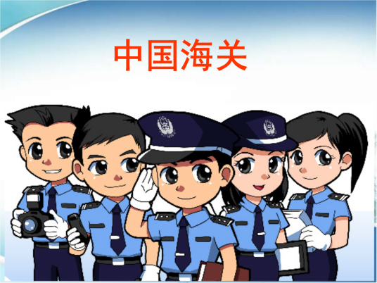 海关管理（国家行政执法活动）