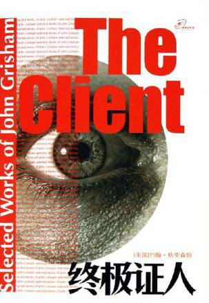 终极证人（2005年译林出版社出版的图书）
